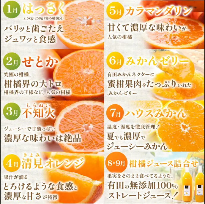 【定期便】厳選 柑橘定期便 S 3回（1～3月）※北海道・沖縄・離島への配送不可※1月・2月・3月に発送
