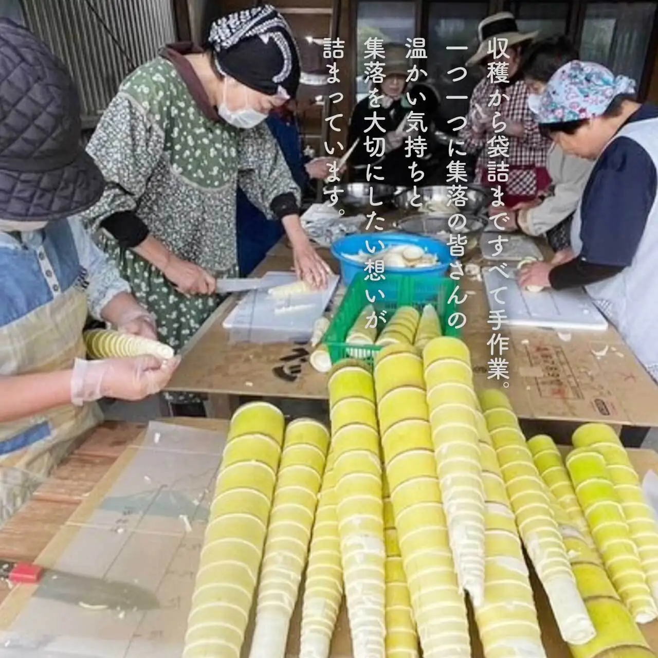鹿児島県大崎町産味付けメンマ「かむかむメンマ」