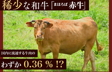 まほろば赤牛 ミンチカツ 70g×8個 ミンチカツ 