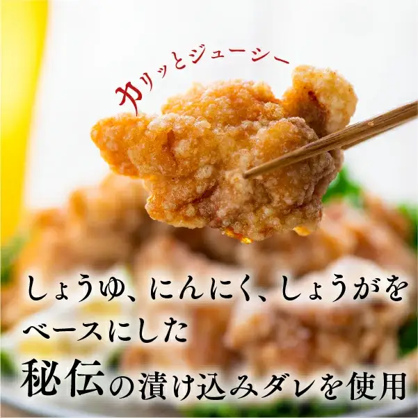 【10月配送分】 骨なし大分からあげ1kg(500g×2袋) | 豊後高田市 から揚げ