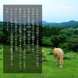 幻のあかうし和牛ハンバーグ 1個入り 1個120g 田野屋青蜂 白鯆 完全天日塩練り込み