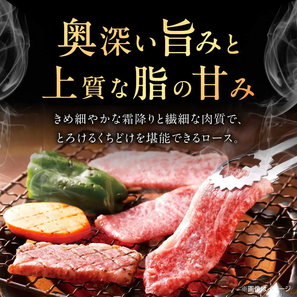 【3回定期便】佐賀牛 ロース 焼肉用 500g /MKミート武雄[UEM055] 焼肉