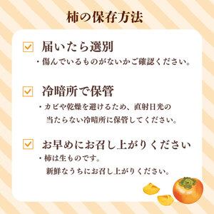 柿 【数量限定】次郎柿 3kg  牧之原市 静岡県