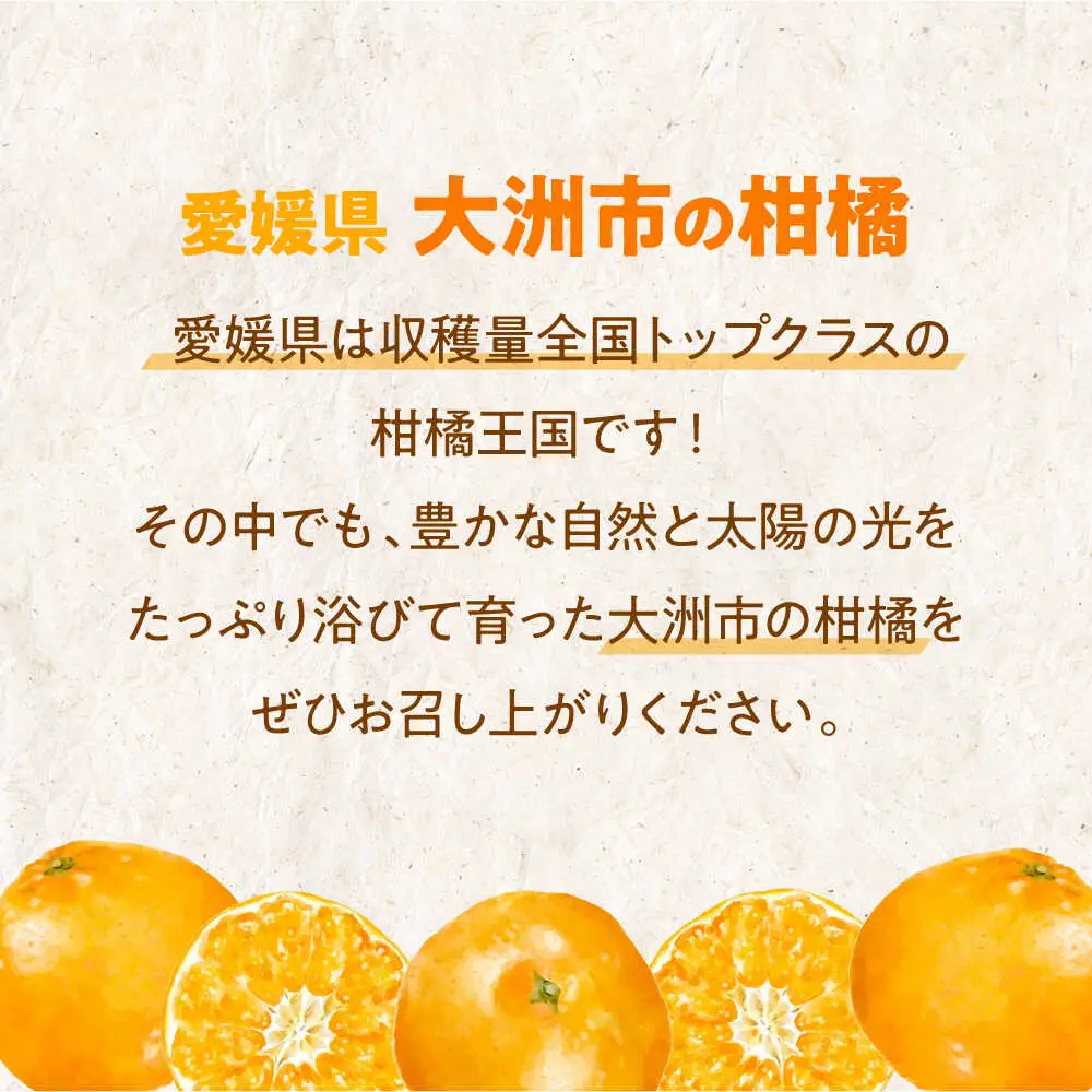 みかん【11月中旬から順次発送】温州みかん（早生）10kg みかん[AGAW017]