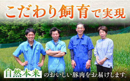 豚肉 こま切れ 計2.8kg《バラ凍結》藤井ファーム[AWAF029]豚こま肉