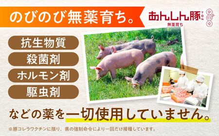 豚肉 ミンチ約1.5kg《バラ凍結》藤井ファーム[AWAF033] 豚ミンチ
