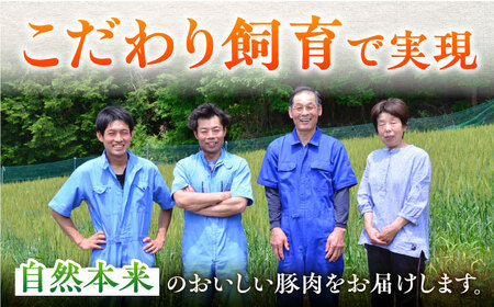 豚ミンチ 約3kg《バラ凍結》藤井ファーム[AWAF034]豚ひき肉