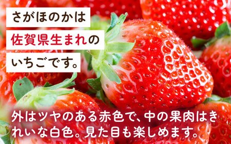 【2027年1月以降順次発送】淡雪・さがほのか 紅白いちごセット 220g×4パック / 苺 果物 フルーツ 白苺 / 佐賀県 / 岸川農園[41ASAG011]
