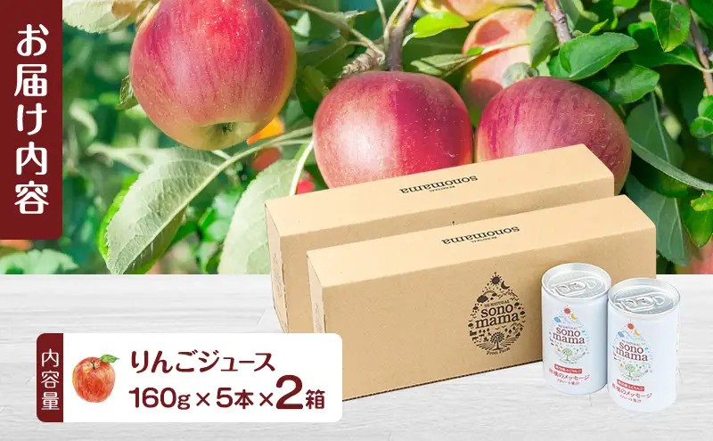 りんごジュースsonomamaりんご飲料りんごジュース【160g×5本×2箱】