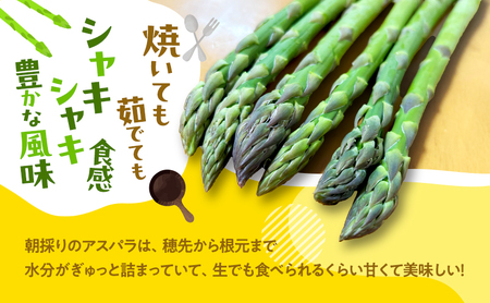 グリーンアスパラ 富良野産 清水農園 採れたて【約1kg M～L混合】【先行予約】