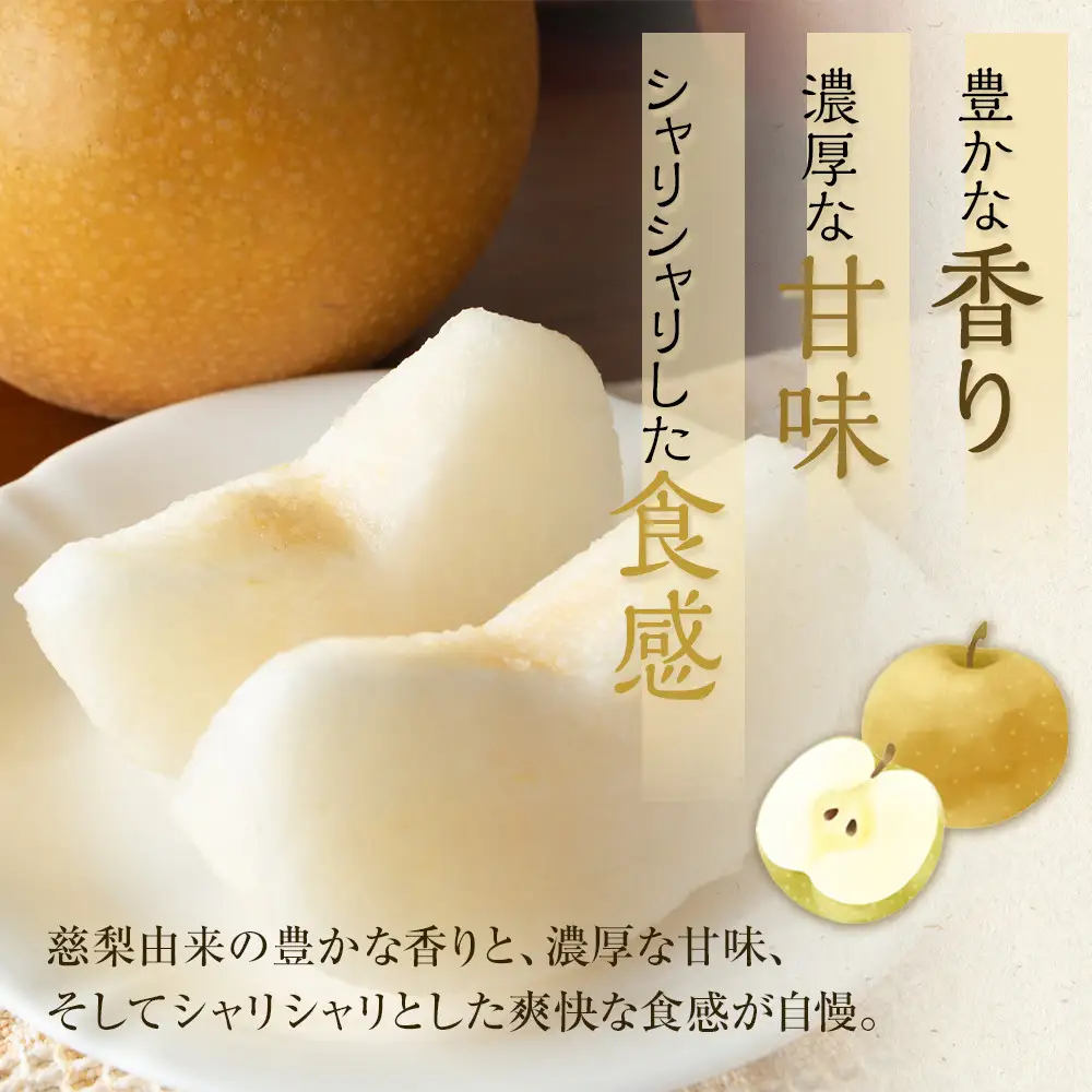 旬の赤 梨 セット 4～5kg前後 ※2026年8月下旬～12月下旬頃に順次発送予定  梨