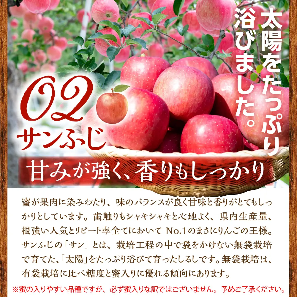 【2026年11月下旬発送】 りんご 約5kg 青森県産 《贈答用》 りんご4品種食べ比べ