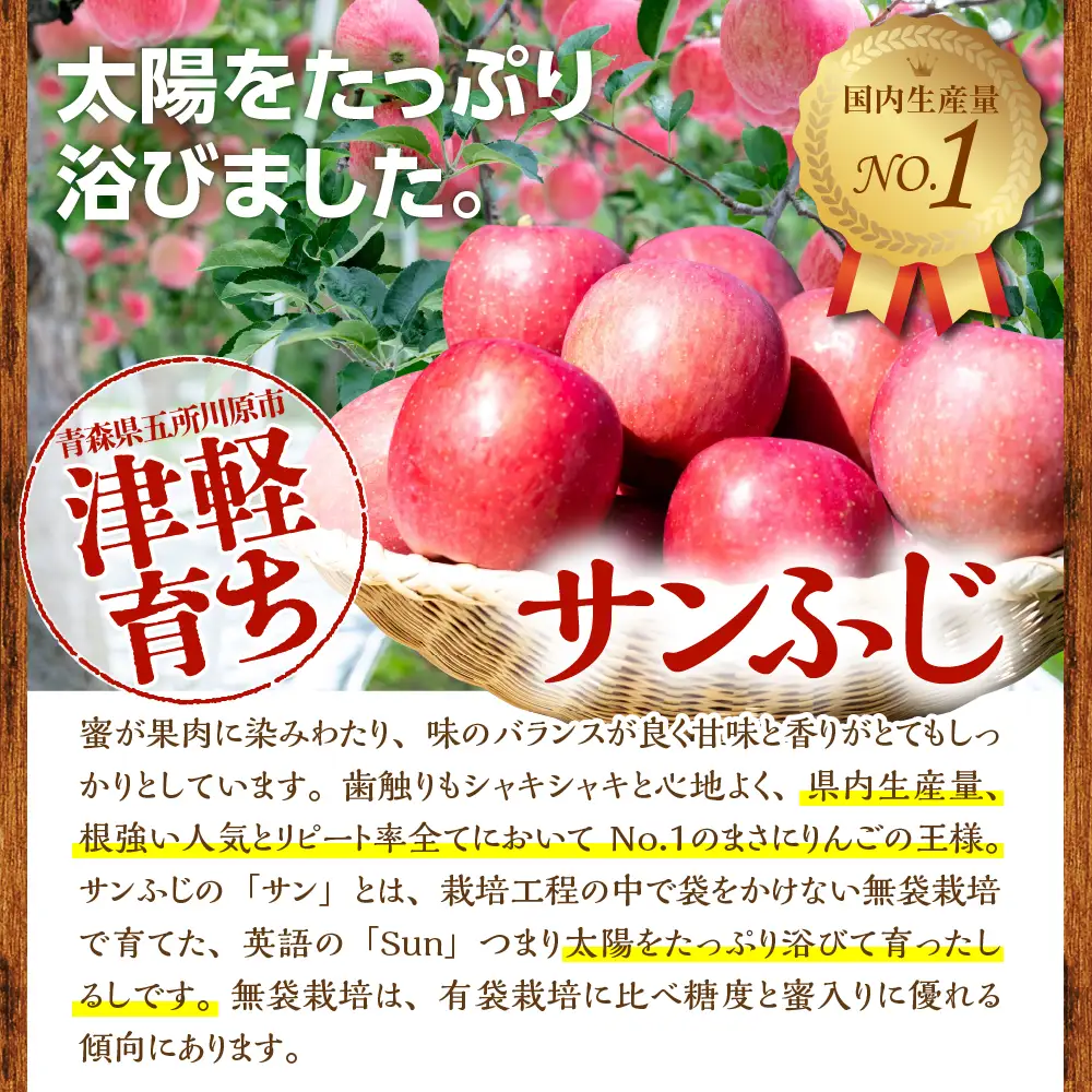 【2026年11月中旬発送】 青森りんご 約3kg サンふじ 《訳あり》 りんご