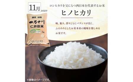 【令和8年産/予約受付】 樽井商店の仁井田米 5kg 3回お届け便(10月～12月) Sbti-Z03／お米 ヒノヒカリ にこまる