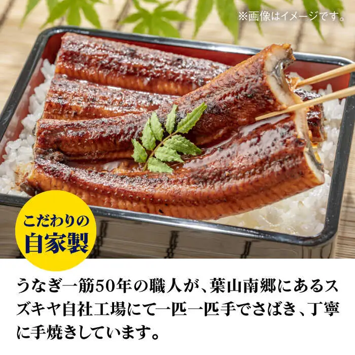 国産うなぎ蒲焼セット ／ うなぎ [ASAK003]