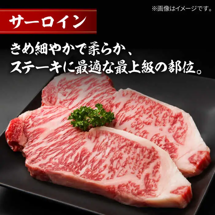 葉山牛ステーキ三昧(葉山牛ヒレステーキ150g×3枚・葉山牛サーロインステーキ250g×3枚・葉山牛ランプステーキ180g×3枚) ステーキ [ASAP005]