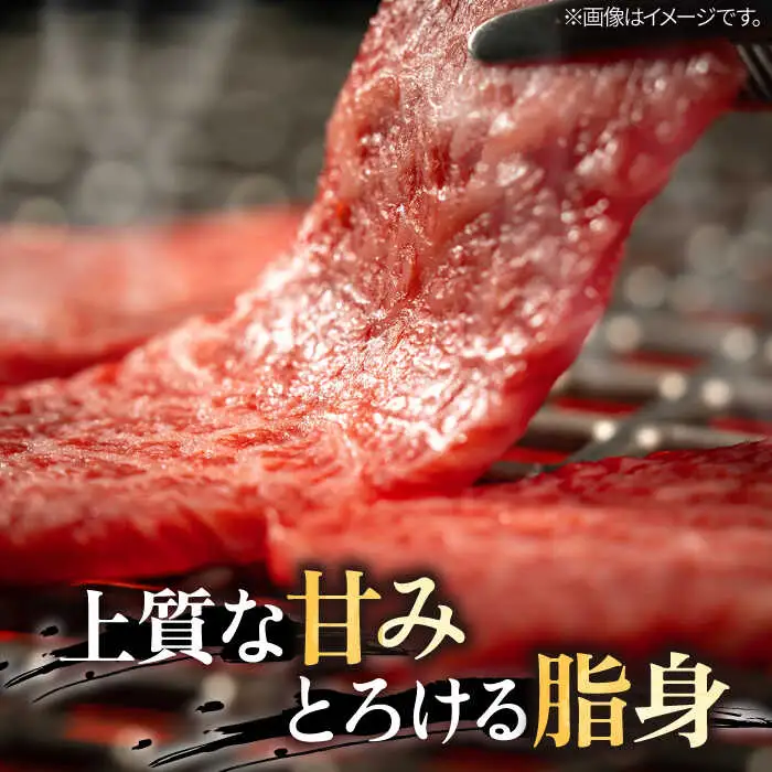 【全6回定期便】 葉山牛 上カルビ500gカルビ500g／ カルビ 上カルビ[ASAP054]