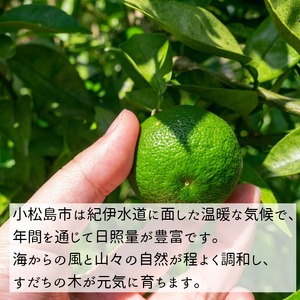 【2026年8月中旬発送】すだち 1kg 露地栽培 徳島県 小松島産 スダチ すだち果汁 焼き魚 しいたけ お酒 柑橘 酢 旬