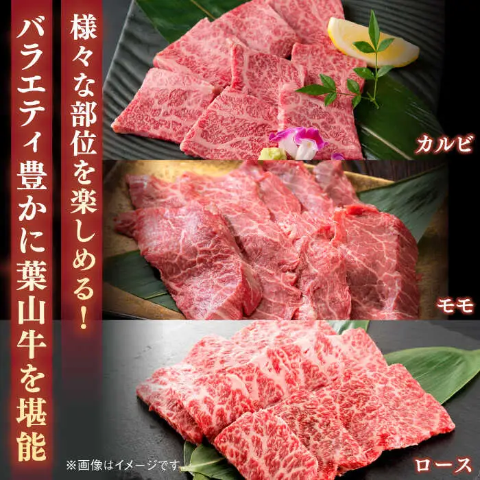 葉山牛 500g　焼肉用ミックス ／ 焼肉 [ASBD012]