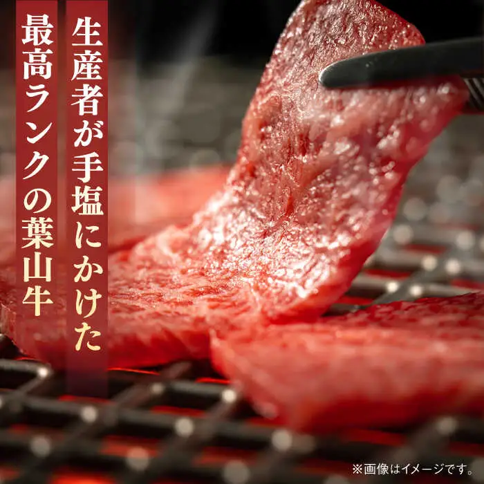 葉山牛 300g　ロース焼肉用 ／ 焼肉 [ASBD015]