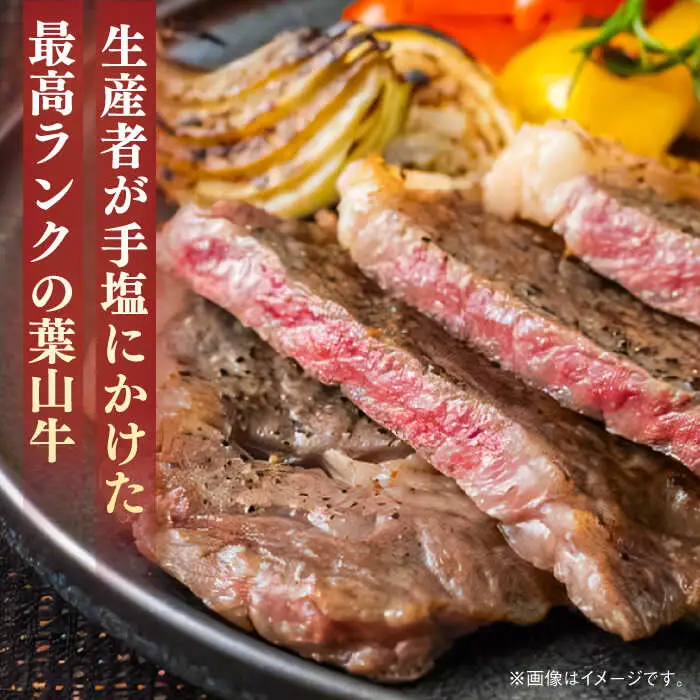 葉山牛 サーロインステーキ 250g×1枚 サーロイン [ASBD016]