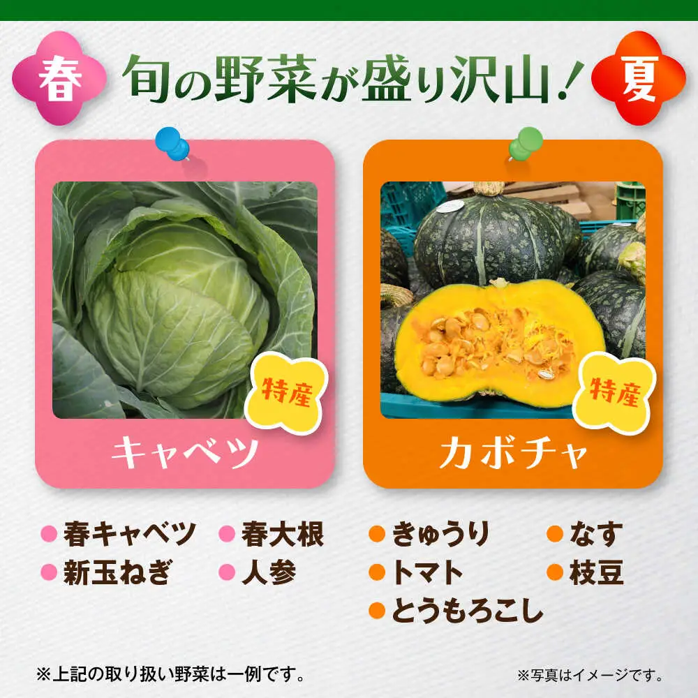 よこすか野菜セット すかなボックス／野菜 [ASCB001]