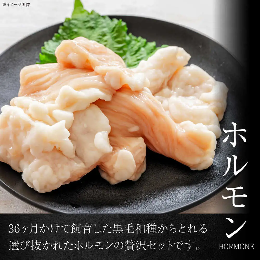葉山クィーンビーフホルモン味噌味、ネギ塩味 各300g  ／ ホルモン [ASCD014]