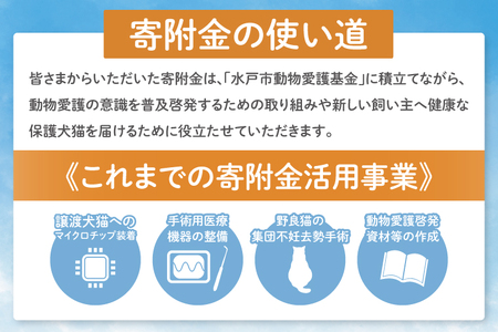 【返礼品なし】水戸市 動物愛護寄附金 Animal Welfare Donations『人と動物がしあわせに暮らせるまちづくり Creating a city where people and animals can live happily together』1000000円(LW-15)