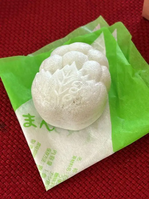ナイヤガラろまん 10個入り×2箱 