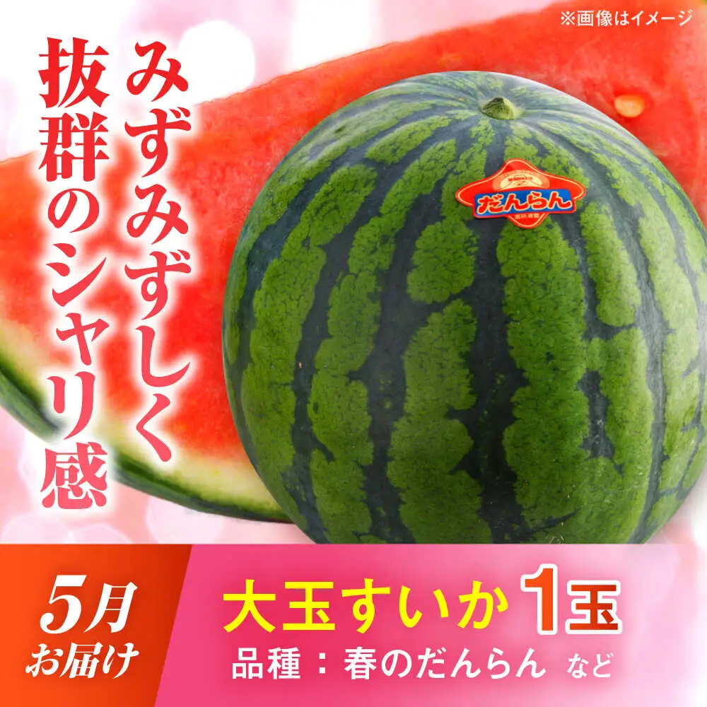 【先行予約】【2027年4月上旬より順次発送】【全3回定期便】すいか 3種 食べ比べ セット 定期便 計5玉（小玉2 大玉1 黒小玉2） スイカ[AYAB030]