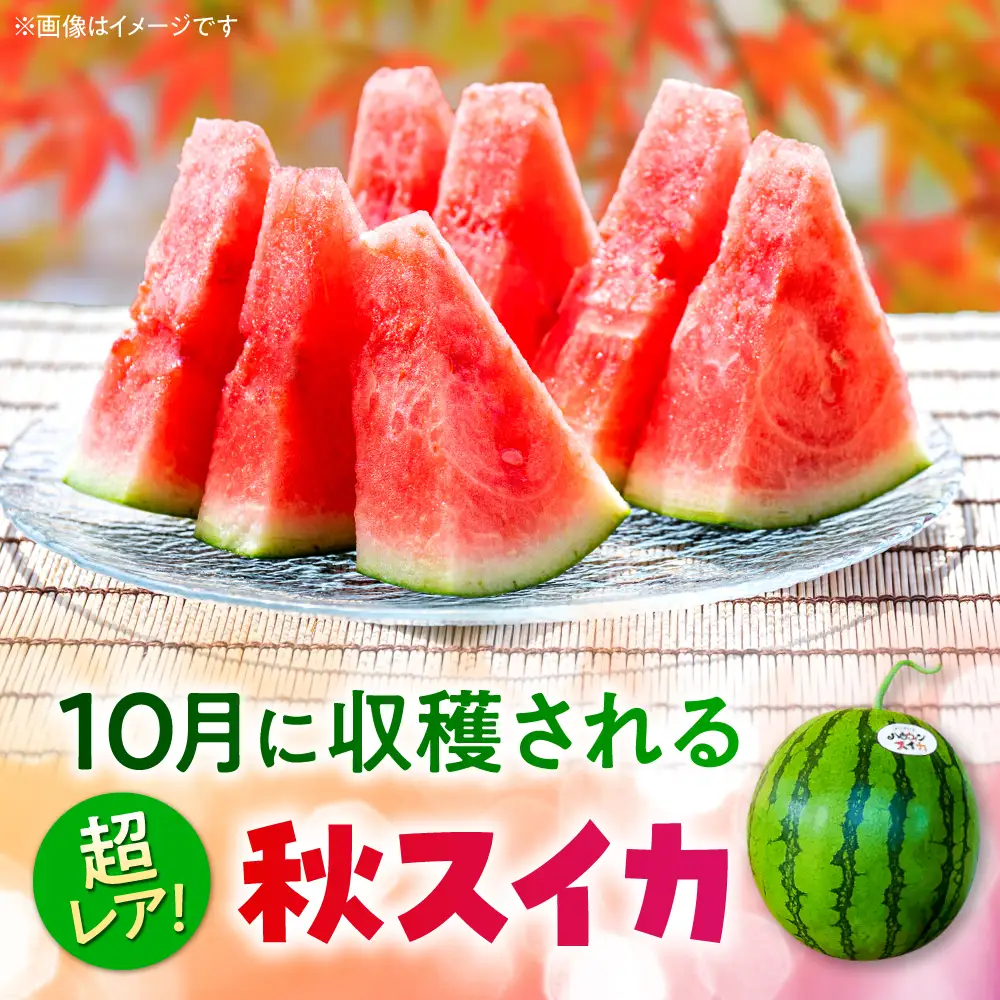 【先行予約】【2026年10月上旬より順次発送】熊本 ハロウィンすいか 1玉（約6～7kg） すいか[AYAB031]