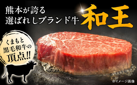 くまもと 黒毛和牛 和王 ヒレ ステーキ 約640g（約160g×4枚）ヒレステーキ[AYBR021]