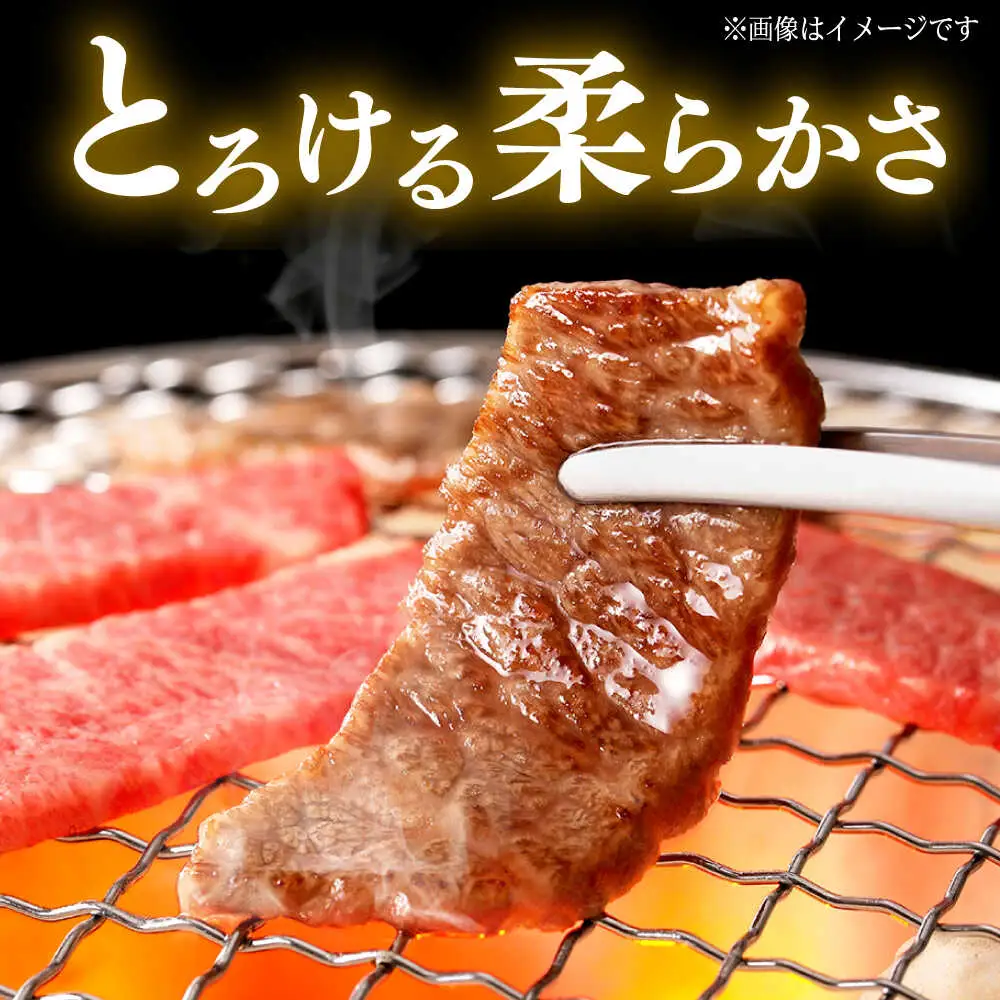 くまもと 黒毛和牛 和王 カルビ 焼肉用 約400g（約400g×1P）カルビ焼肉[AYBR022]