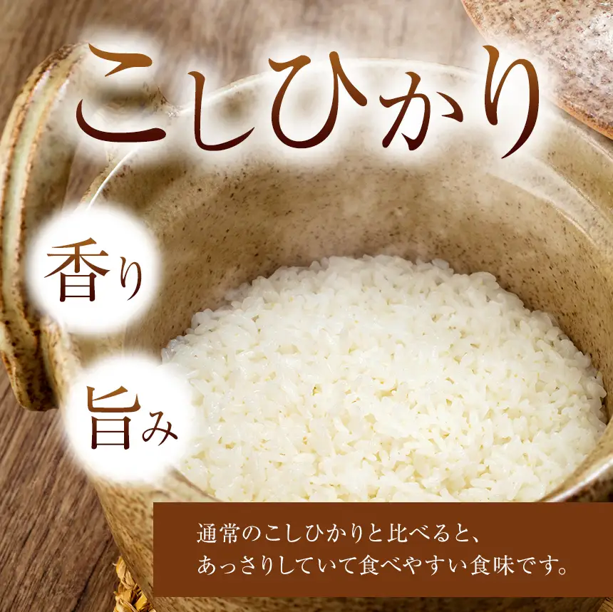 【定期便２回】令和8年産  こしひかり 5kg （白米） 宮崎県産