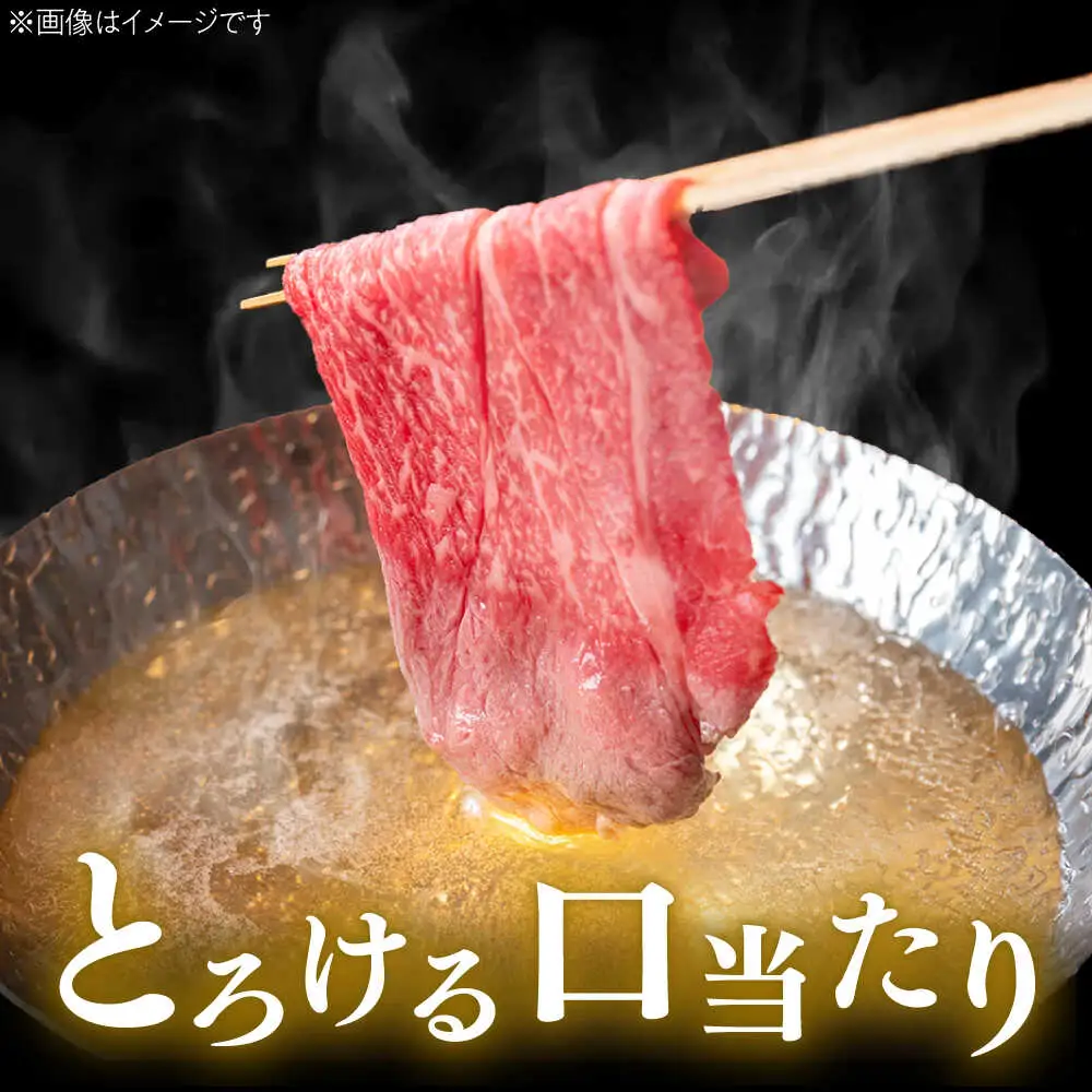くまもと 黒毛和牛 和王 肩ロース しゃぶしゃぶ用 約800g（約400g×2P）ロースしゃぶしゃぶ[AYBR029]