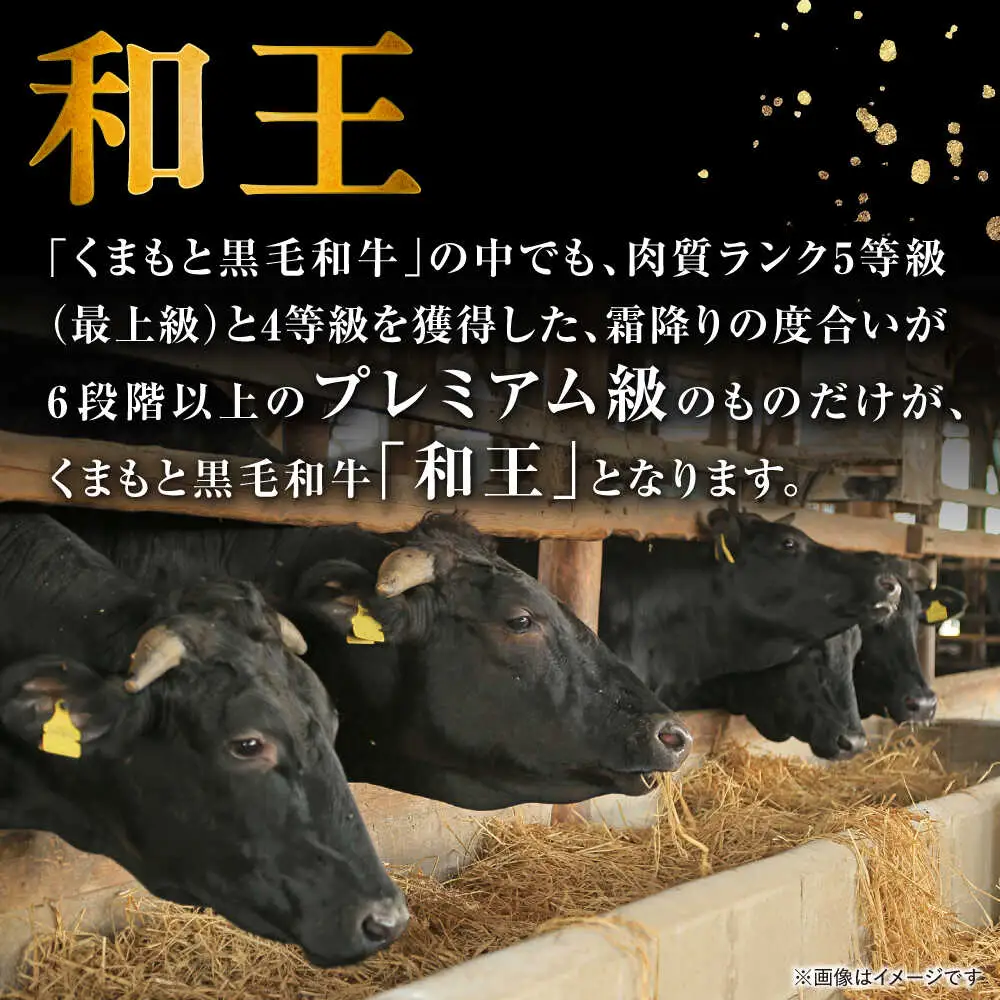 くまもと 黒毛和牛 和王 サイコロステーキ 約500g（約500g×1P）サイコロステーキ[AYBR034]