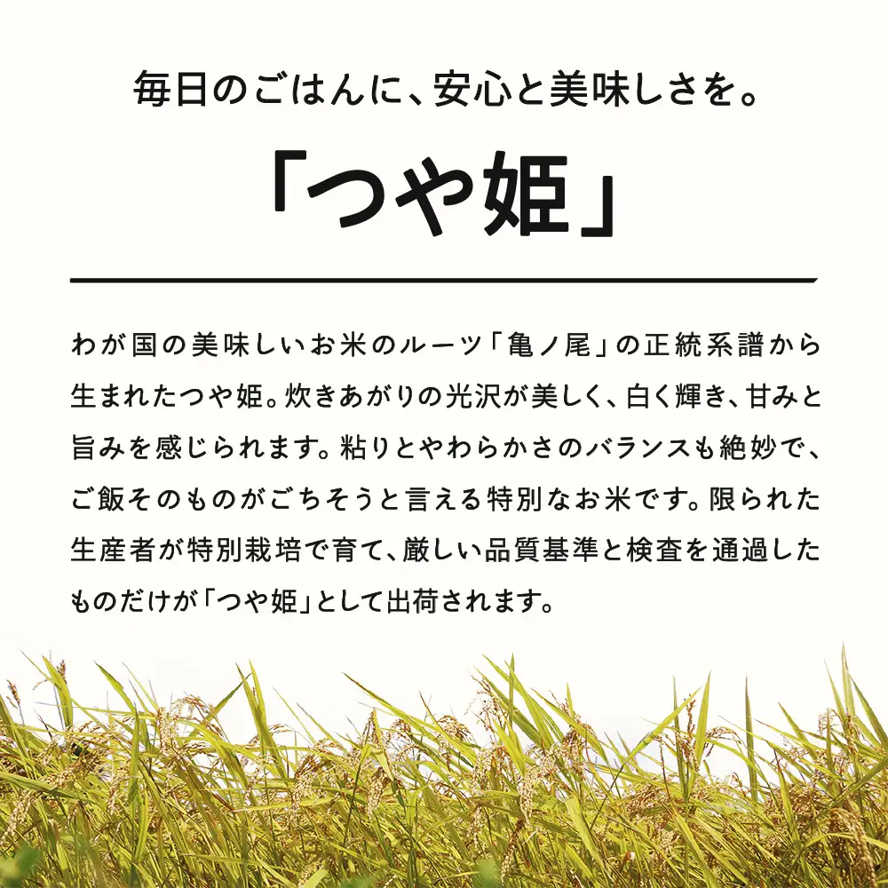 【先行予約】＜新米＞ つや姫 精米 5kg 11月中旬~11月下旬発送 国産 お米 山形県産 山形産  おすすめ 5kg 5キロ 5きろ 令和8年産 2026年産 沖縄・離島への配送不可 コメ こめ はくまい 白米米 tf-tssxb5-11s