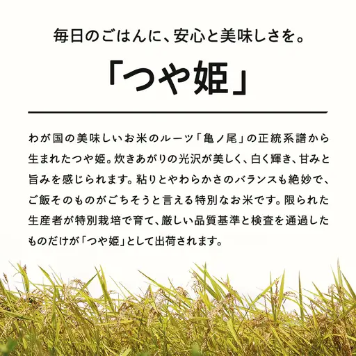 【先行予約】＜新米＞ つや姫 精米 10kg 11月上旬~11月中旬発送 国産 お米 山形県産 山形産  おすすめ 5kg 2袋 10kg 米 5kg×2 5キロ 5きろ 10キロ 10きろ 令和8年産 2026年産 沖縄・離島への配送不可 コメ こめ はくまい 白米 tf-tssxb10-11f