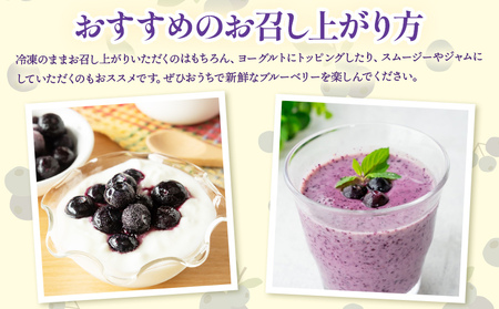 冷凍ブルーベリー 約600g ブルーベリー yg-0027