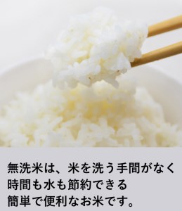 無洗米 コシヒカリ 300g ×10【真空包装】