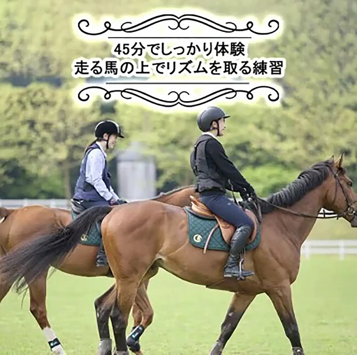 乗馬クラブクレイン茨城 45分しっかり 乗馬体験チケット