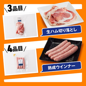 【令和8年10月発送】【かんたん調理で満喫コース】（加工品）さんきょうみらい豚満喫セット 国産 惣菜 豚肉
