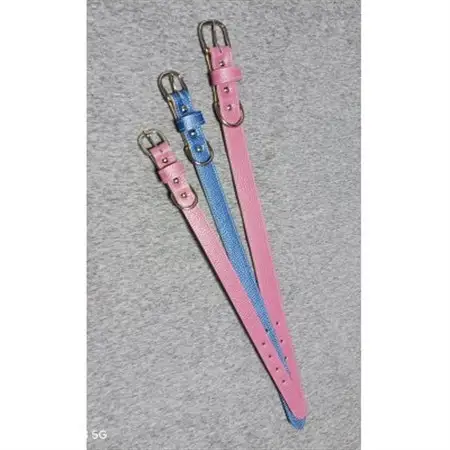 ペット用品(首輪) 牛革シボ型押しラメカラー・ブルー首輪#21【1657320】