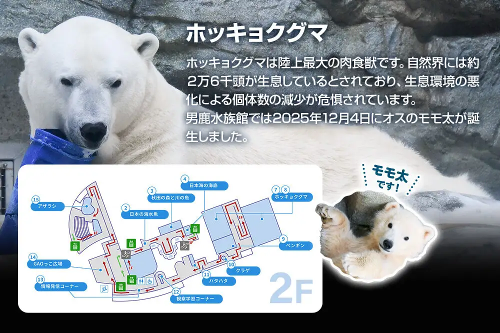 男鹿水族館GAOペア入館券 2名分 秋田県 ガオ 日本海 ペア 利用券 入場券