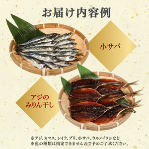 訳あり 干物 おまかせ セット 1kg 冷凍 詰め合わせ ひもの 訳アリ 規格外 不揃い ヒモノ 開き 醤油干し みりん干し 朝食 和食 おつまみ アジ カマス シイラ ブリ 小サバ ウルメイワシ 三重県 伊勢 志摩 南伊勢町 山藤