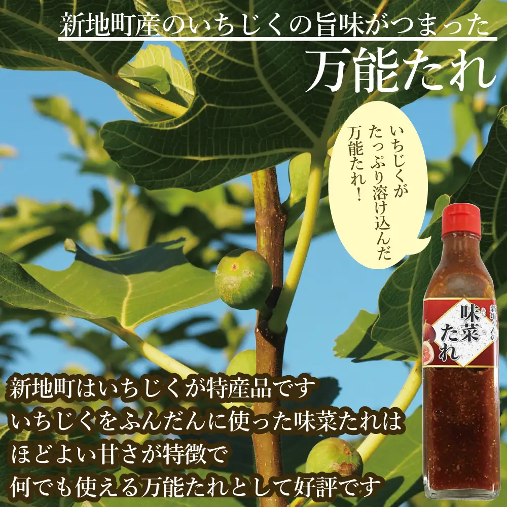 【福島県新地町産いちじく使用】万能味菜たれ 300ml×3本