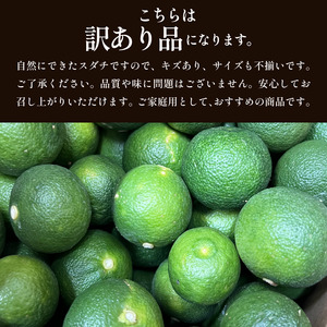訳あり すだち 1.5kg 家庭用 2026年9月中旬 順次発送 栽培期間中農薬不使用 スダチ 先行予約 【 すだち 】