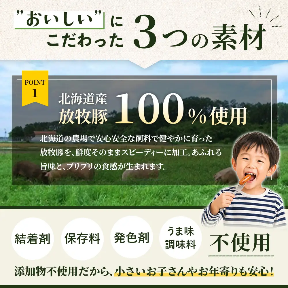 北海道産放牧豚 無添加ウインナーセットB【12011001】