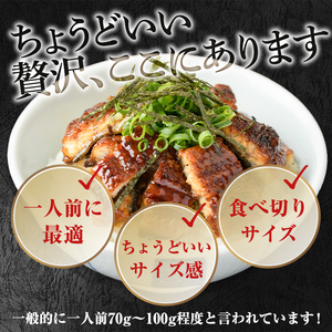 ＜食べきりサイズ！＞東串良町のうなぎ蒲焼(無頭)(15尾・計1500g・タレ、山椒付) うなぎ 高級 ウナギ 鰻 国産 蒲焼 蒲焼き たれ 鹿児島 ふるさと 人気 【アクアおおすみ】【0554327a】