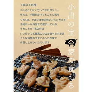 いちば屋発！やまにのモツ焼きセット 6人前 もつ焼き もつ モツ 豚 シロ セット BBQ バーベキュー 冷凍 やまに 新潟 魚沼市